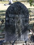 image of grave number 784085
